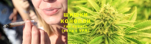 дурь Арсеньев