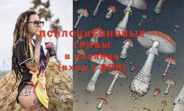 каннабис Аркадак
