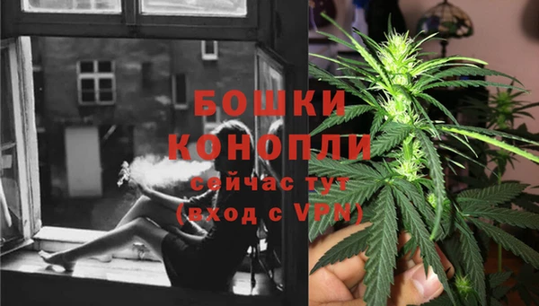 каннабис Аркадак
