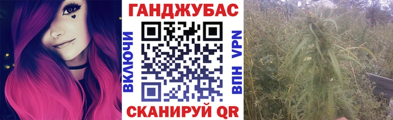 Бошки Шишки сатива  Пролетарск 